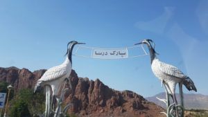 جلفا، شهر درناها